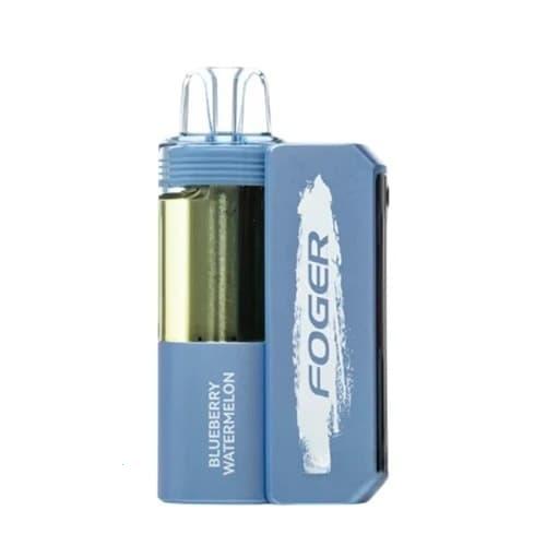 Kako odabrati najbolji elektronski punjač za cigarete i produljiti vijek baterije