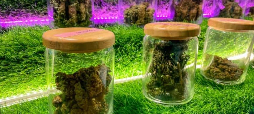 Najbolji vape mods za početnike i iskusne korisnike vape mods koje morate isprobati danas